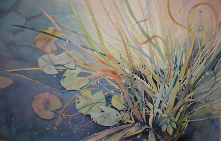Backlit Pond