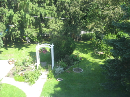garden pic #10