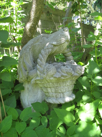 garden pic #6