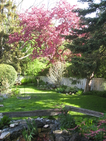 garden pic #7