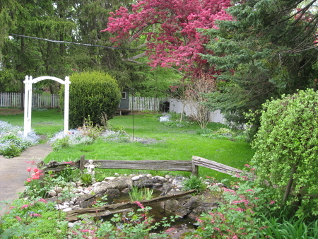 garden pic #11