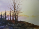 Island sunset