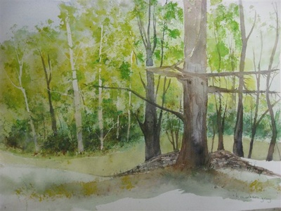 Tree Spirits
